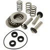 Image de Kit pistons + joints + roulements - Nettoyeur haute pression Mac allister - Moteurs
