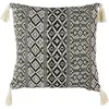 Image de Coussin À Pompons Ethnique - L. 40 X L. 40 Cm - Beige