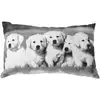 Image de Coussin Imprimé Chiens - 30 X 50 Cm - Noir Et Blanc