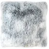 Image de Coussin À Poils Doux Tinn