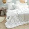 Image de Couette Blanrêve Gamme "douceur" 240 X 220 Cm Traité Anti Acarien Soft & Care