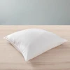 Image de Oreiller 60 X 60 Cm Blanrêve Gamme "douceur" Traité Anti Acarien Soft & Care