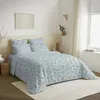 Image de Pack complet housse de couette réversible pour lit 160 x 200 cm Agathe céladon - -