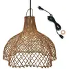 Image de Suspension extérieure rotin beige d60cm câble 5m