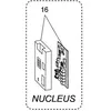 Image de Module programmé nucleus 769991665760 bpm st Machine à laver Lave-linge C00858822 ARISTON HOTPOINT