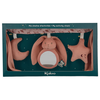 Image de Chaine D'activités Lapinoo En Terracotta Pour Poussette Et Cosy