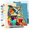 Image de FiguredArt Mini Peinture par Numéro Adulte 20x20cm avec cadre Hibou Abstrait Pop Art - Petit Format Kit de Loisir Créatif