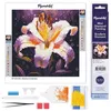 Image de Figured’Art Mini Diamond Painting Broderie Diamant 25x25cm toile entière roulée avec diamants ronds - Épanouissement de Lys