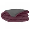 Image de Couette chaude microfibre bicolore 400 grm2 240x260 cm