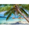 Image de Puz 1000p Plage Tropicale Alize Ali50022