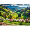 Image de Alipson Puzzle Puzzle Spring Walk 500 Pièces Multicolore