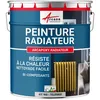 Image de Peinture Radiateur fonte acier alu - PEINTURE RADIATEUR - 1 kg (jusquà 5 m² en 2 couches) Telegris 4 - RAL 7047