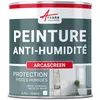 Image de Peinture anti humidité mur humide salle de bain - ARCASCREEN - 0.75 L (jusquà 3 m²)