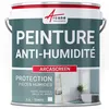 Image de Peinture anti humidité mur humide salle de bain - ARCASCREEN - 2.5 L (jusquà 10 m²)