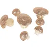 Image de Lot de 7 Champignons en mousse 3 5/6 5 cm paillettes Rose Gold