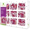 Image de Faujas Coffret Perles Bois Lettres