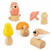 Image de OISEAUX & CHAMPIGNONS A VISSER