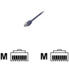 Image de MCL Samar cordon de raccordement - 50 cm - bleu