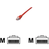Image de MCL Samar cable reseau - 50 cm - rouge