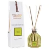 Image de Parfum dintérieur - COLLINES DE PROVENCE - Bouquet parfumé verveine 100 ml - Multicolore - Rotin - Verre