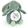 Image de Veilleuse musicale Lapin vert