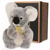 Image de Histoire dours koala authentique 20cm HO2218