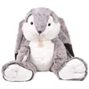 Image de Peluche - Histoire dours - LAPIN MARIUS 50 cm - Mixte - Gris