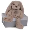 Image de Peluche - HISTOIRE DOURS - COPAINS CALINS - LAPIN BEIGE 25 CM - Intérieur - Bébé - Mixte