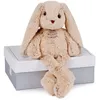 Image de Peluche - HISTOIRE DOURS - Les Copains Câlins - Lapin beige - Intérieur - Mixte