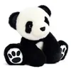 Image de Peluche Histoire D'ours So Chic 35 Cm Multicolor Textile