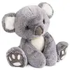 Image de Peluche Koala Histoire D Ours 35 Cm