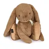 Image de Doudou lapin - Noisette - 50cm H03249 - HISTOIRE DOURS - PELUCHES/Doudous - HIS1700767713713 - Beige - Bois / Mousse