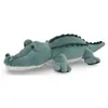 Image de Crocodile du lagoon de 60 cm