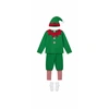 Image de Costume Elfe Partypro 4-6 Ans Multicolor Autres