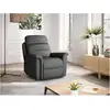 Image de Fauteuil de relaxation en tissu gris léon - gris foncé