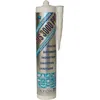 Image de Mastic-colle MS 3000 pro