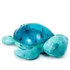 Image de Veilleuse Musicale Tranquil Turtle - Aqua - Rechargeable
