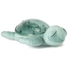 Image de Veilleuse Tortue Aquatique Rechargeable Cloud B Vert