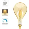 Image de Ampoule LED Giant - XANLITE - G200 - 8W - E27 - Blanc chaud