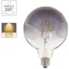 Image de Ampoule LED Globe (G125) Irrégulière au verre fumé culot E27 6W cons. (48W eq.) 600 lumens lumière blanc chaud