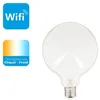 Image de Ampoule LED connectée Filament E27 G125 Opaque 7W cons. Variation de luminosité - KRFE806B125OCCT - KOZII