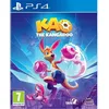 Image de Kao The Kangaroo Jeu PS4