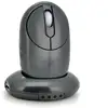 Image de Souris Pc D'ordinateur Sans Fil Distance 10 Mètres Avec Dock Et Hub Usb 4 Port Yonis