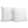 Image de Lot de 2 oreillers Natura 60x60 cm Duvet & Plumess
