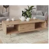 Image de Diego - table basse - effet bois - 2 niches - 120 cm - Bois