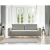 Image de Glendale - canapé droit 3 places - convertible avec coffre - en tissu bouclette - Gris