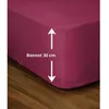 Image de Drap-housse - LOVELY HOME - LH71610 - 180x200+30 cm - Fuchsia