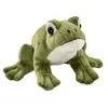 Image de Peluche Grenouille 16cm