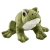 Image de Peluche Grenouille 16 cm