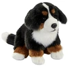 Image de Bouvier Bernois Assis 30cm